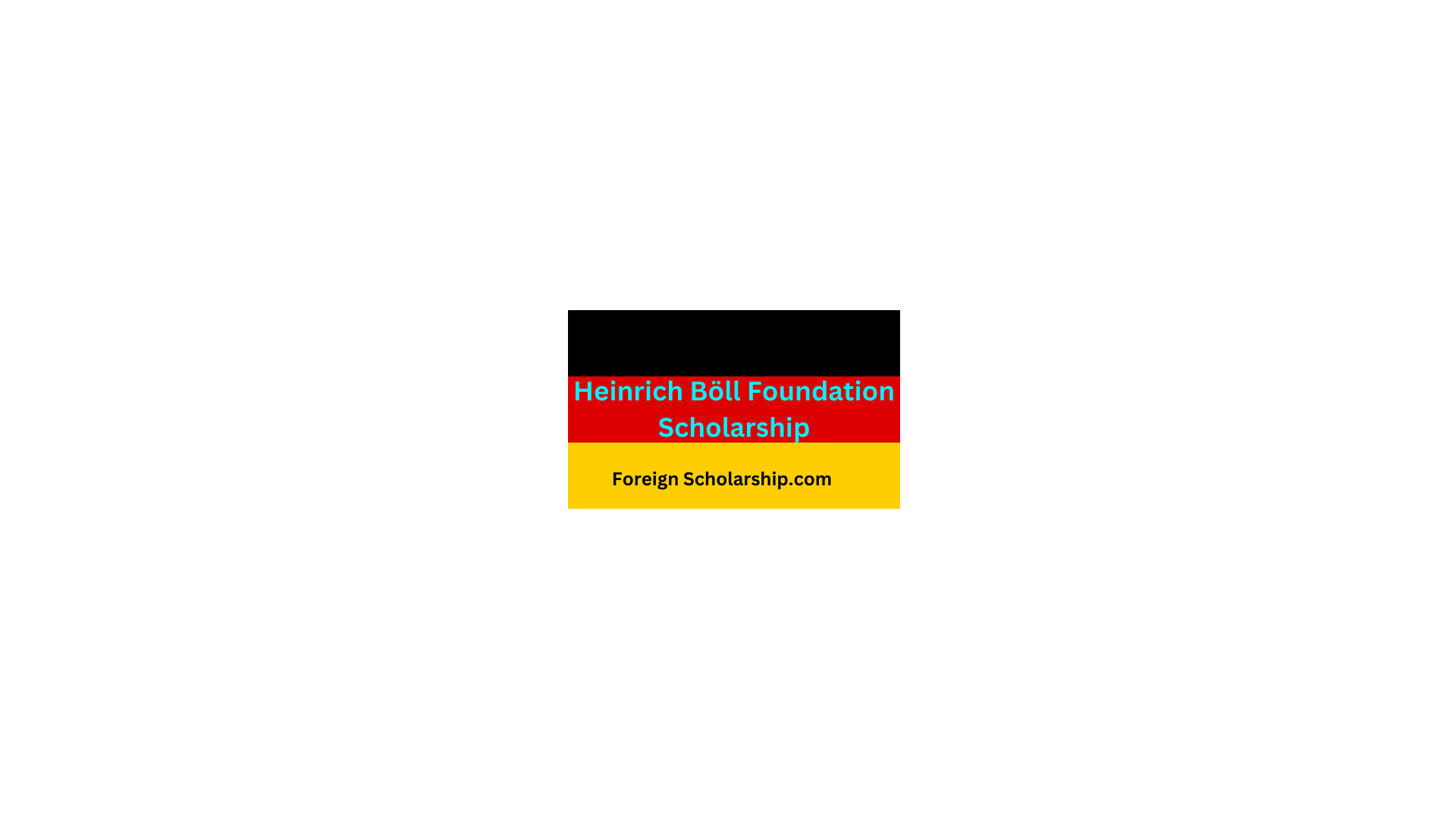 Heinrich Böll Foundation Scholarship